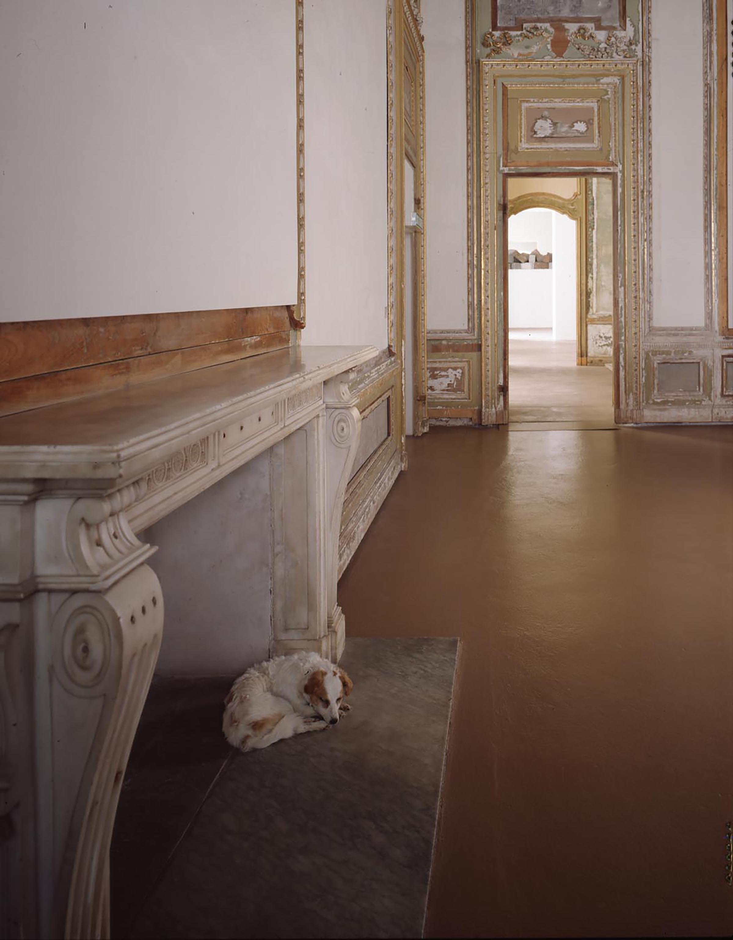 Maurizio Cattelan, Stone dead, 1997
